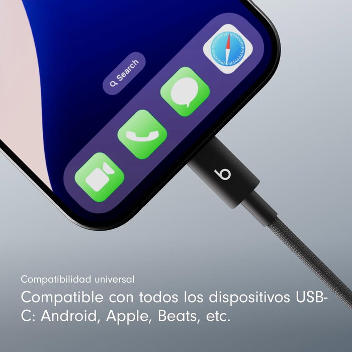 Apple Cable USB 2.0 USB-C 0,2 m Negro