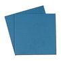 Thermal Grizzly Minus Pad Advance - 100x100x1,0 mm (Pack de 2)
