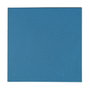 Thermal Grizzly Minus Pad Advance - 100x100x1,0 mm (Pack de 2)