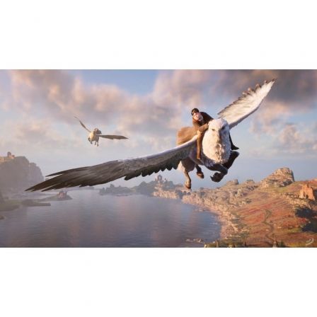 Nintendo Hogwarts Legacy Standard RPG Nintendo Switch HOGWARTS LEG STD SWITCH