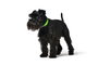 Hunter Collar Convenience 35/XS-S Verde Manzana para Cuello 23-31 cm
