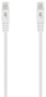 Aisens Cable de Red Latiguillo RJ45 Cat.6A UTP AWG24 0,5m Blanco