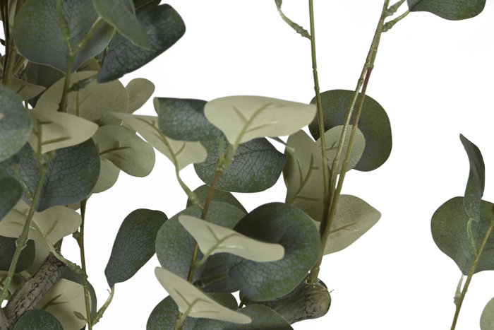 DKD Home Decor Árbol de Eucalipto Verde con Base de Cemento 80x80x220 cm