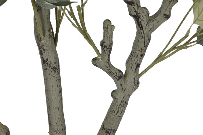 DKD Home Decor Árbol de Eucalipto Verde con Base de Cemento 80x80x220 cm