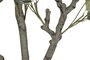 DKD Home Decor Árbol de Eucalipto Verde con Base de Cemento 80x80x220 cm