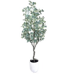 DKD Home Decor Árbol de Eucalipto Verde con Base de Cemento 80x80x220 cm