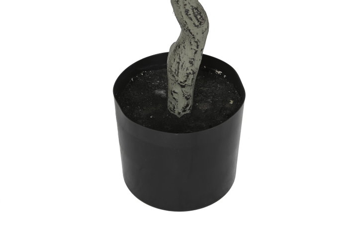 DKD Home Decor Árbol de Eucalipto Verde con Base de Cemento 80x80x220 cm