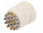 HARTING Conector M23 Signal Hembra 19 Pines