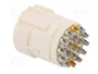 HARTING Conector M23 Signal Hembra 19 Pines