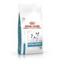 Royal Canin Hypoallergenic Small HSD24 1kg