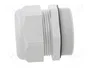 FIBOX Sello aislante M63 con rosca prolongada gris