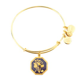 Alex And Ani Pulsera Dorada con Acabado Envejecido
