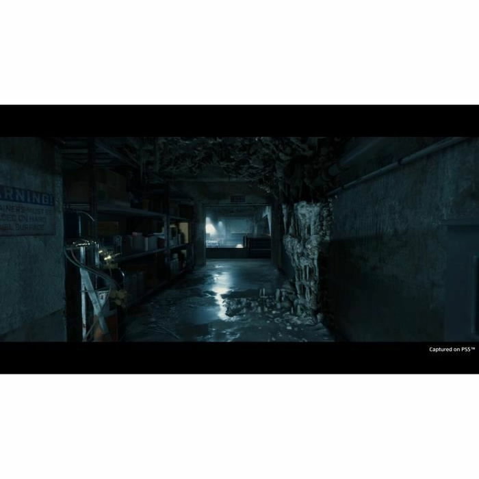 Sony Computer Entertainment Death Stranding Director's Cut PS5