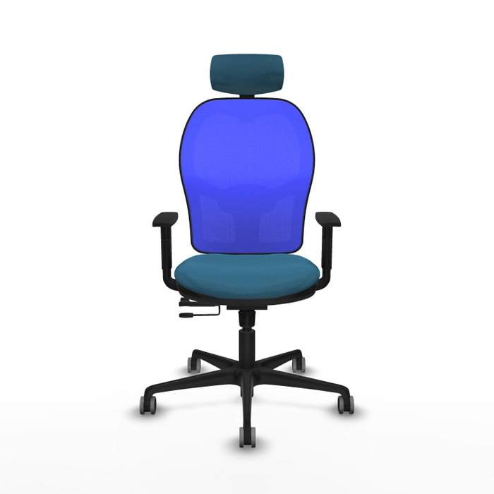 PIQUERAS Y CRESPO Silla de oficina Jorquera con mecanismo Sincro/Traslack Verde petróleo y Azul PIQUERAS Y CRESPO Silla de oficina Jorquera con mecanismo Sincro/Traslack Verde petróleo y Azul