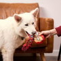Cerdá Cuerda Dental Para Perro Avengers Iron Man