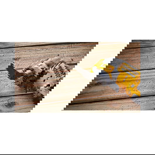 DeWALT Multiherramienta Oscilante 12V a Batería DCS353NT-XJ, Sin Escobillas, 840g, Negro/Amarillo, con Disco de Lija y Adaptador