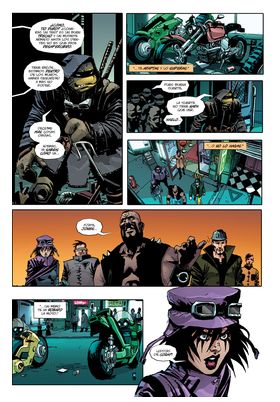 Teenage Mutant Ninja Turtles : El Ultimo Ronin