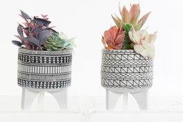 DKD Home Decor Planta Resina Cactus Surtido de 2 Unidades