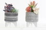DKD Home Decor Planta Resina Cactus Surtido de 2 Unidades
