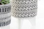 DKD Home Decor Planta Resina Cactus Surtido de 2 Unidades
