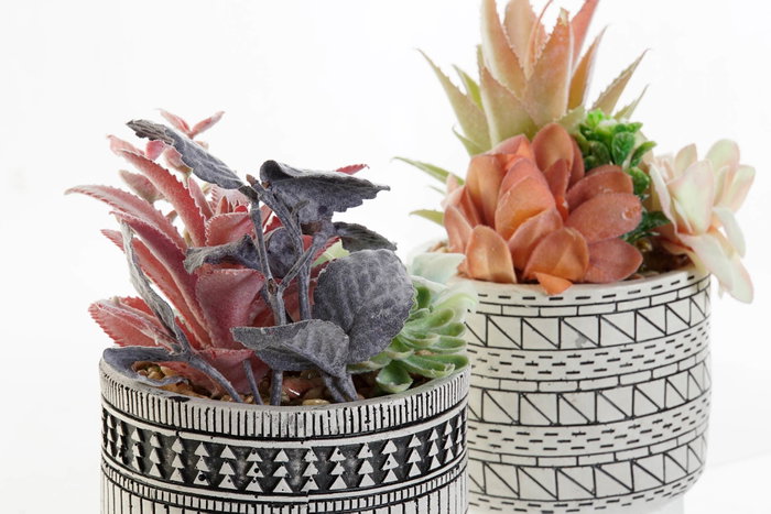 DKD Home Decor Planta Resina Cactus Surtido de 2 Unidades