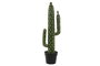 DKD Home Decor Planta de Cactus Verde de Espuma PP