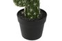 DKD Home Decor Planta Tropical Cactus Verde 16 x 70 x 21 cm (2 Unidades)