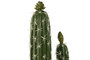 DKD Home Decor Planta Tropical Cactus Verde 16 x 70 x 21 cm (2 Unidades)