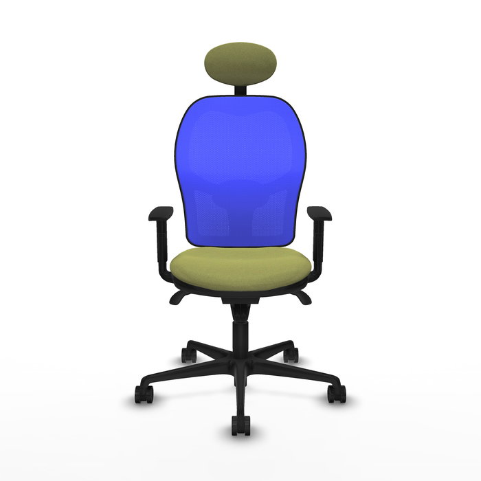 Silla de oficina Jorquera con mecanismo Sincro tapizada con Tela color Verde oliva y malla color Azul. Equipada con lumbar 1D, Brazos 1D, Cabecero Fijo y Ruedas 65mm nailon Silla de oficina Jorquera con mecanismo Sincro tapizada con Tela color Verde oliva y malla color Azul. Equipada con lumbar 1D, Brazos 1D, Cabecero Fijo y Ruedas 65mm nailon