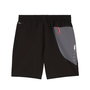 Pantalones Cortos Deportivos para Hombre Puma M Flex Stretch Woven Negro