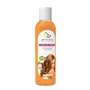 ARMONIA Champú Cebolla + Vinagre de Manzana 400ml