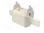ETI POLAM Fusible NH3C de cerámica industrial 231A 400VAC