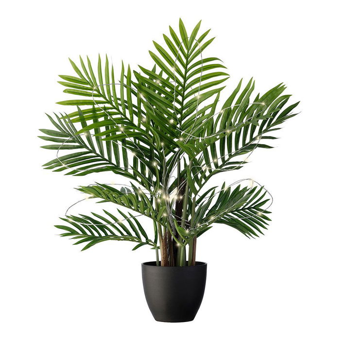 Lumineo 898234 Luz Solar para Plantas, 80cm, 60 Leds