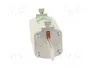 ETI POLAM Fusible NH1 de cerámica industrial 250A 690VAC