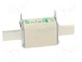 ETI POLAM Fusible NH1 de cerámica industrial 250A 690VAC