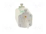 ETI POLAM Fusible NH1 de cerámica industrial 250A 690VAC