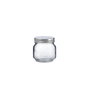 Quid Tarro de Vidrio Renova 250 mL (36 Unidades)