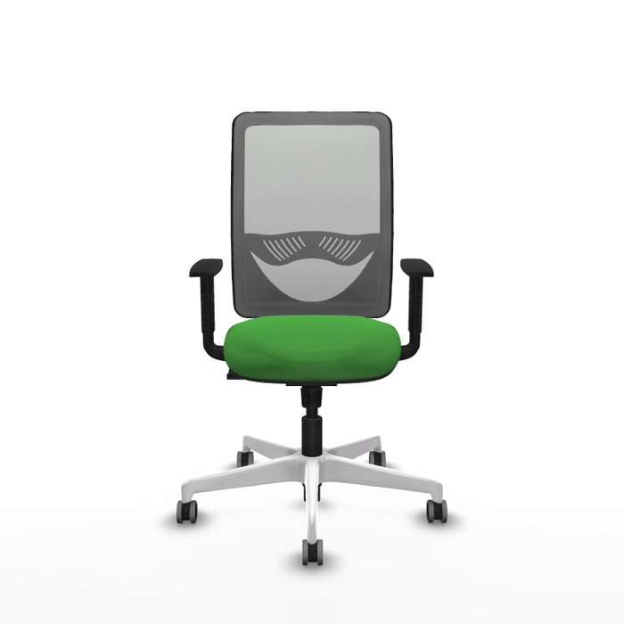 PIQUERAS Y CRESPO Silla de oficina Zulema Verde y Gris con Mecanismo Sincro PIQUERAS Y CRESPO Silla de oficina Zulema Verde y Gris con Mecanismo Sincro