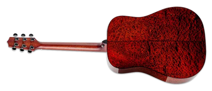 Takamine FT340BS Dreadnought Guitarra Acústica Tapa Abeto Sólido, Fondo y Aros Sapele Figurado, Natural Brillante, Preamplificador CTF-2N