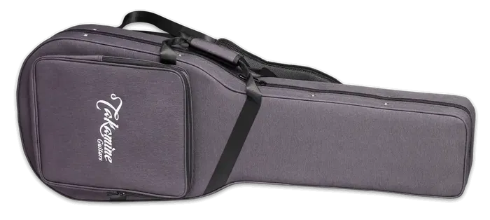 Takamine FT340BS Dreadnought Guitarra Acústica Tapa Abeto Sólido, Fondo y Aros Sapele Figurado, Natural Brillante, Preamplificador CTF-2N