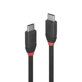 Lindy Cable USB 3.2 Type C a C Black Line 1m 20Gbps Negro