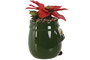 DKD Home Decor Planta Dolomite PP con Gnomos, Surtido de 2
