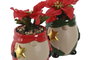 DKD Home Decor Planta Dolomite PP con Gnomos, Surtido de 2