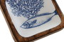 DKD Home Decor Sardinas 25 Vaciabolsillos Mediterraneo Blanco Azul Mango Lacado 11 x 2.5 x 11 cm (4 Unidades)