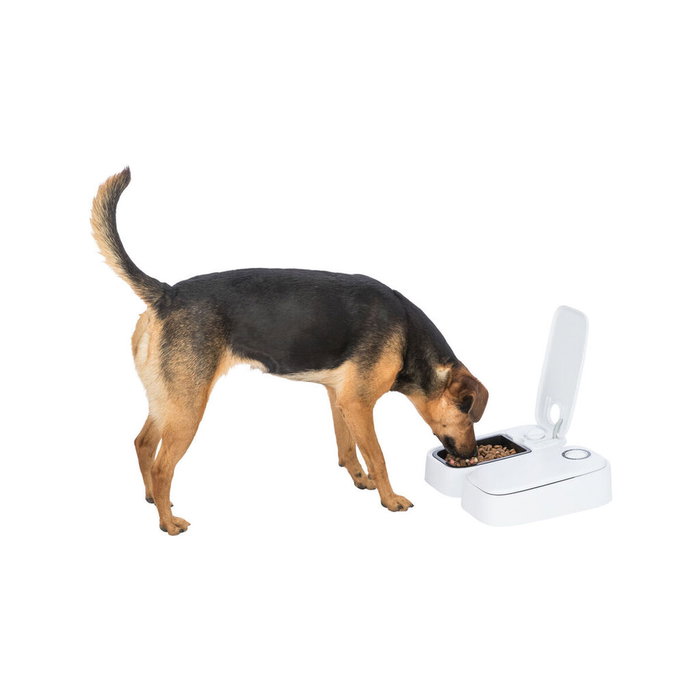 Comedero automático Trixie Blanco Negro Acrílico Plástico