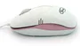 3free Ratón Óptico USB 800 DPI Modelo 3F-MCM101/WP - Diseño Ergonómico Compacto y Plug & Play, Blanco y Rosa