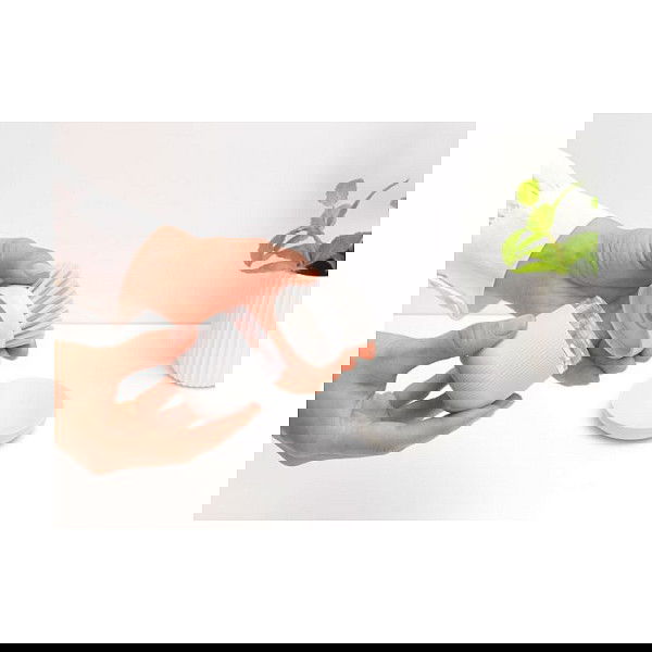 Brabantia Cepillo para Platos - Set de 2 Unidades, Gris Claro, Poliéster, Ref. 302565