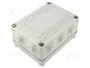 GEWISS GW44026 Caja de Conexiones 44 CE Gris IP55