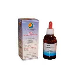 HERBOPLANET Yemas de Betula pubescens (Abedul blanco) para huesos y articulaciones, 50 ml