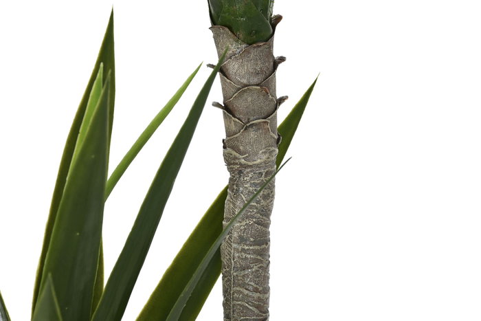 DKD Home Decor Planta de Yuca Verde PE 50x50x150 cm (Pack de 2)